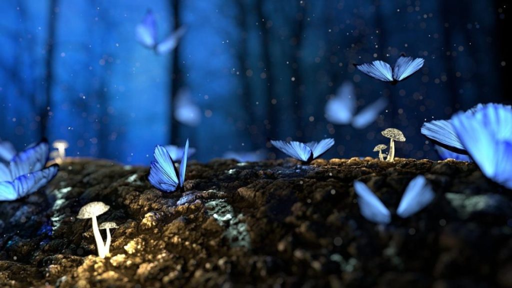 Droommagie visualisatie techniek voor manifestatie van wensen en liefde volgens astrologie