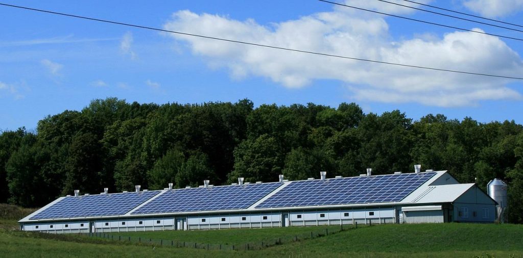 Visualisatie van trends zonnepanelen groothandel 2022 met innovatieve technologieën en bifaciale panelen