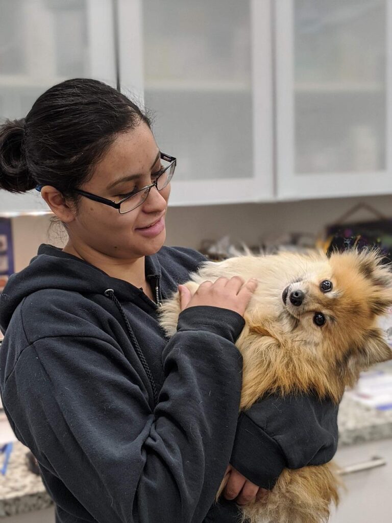 Dierenkliniek in Delft met ervaren dierenartsen die zich inzetten voor gezondheid en welzijn van huisdieren
