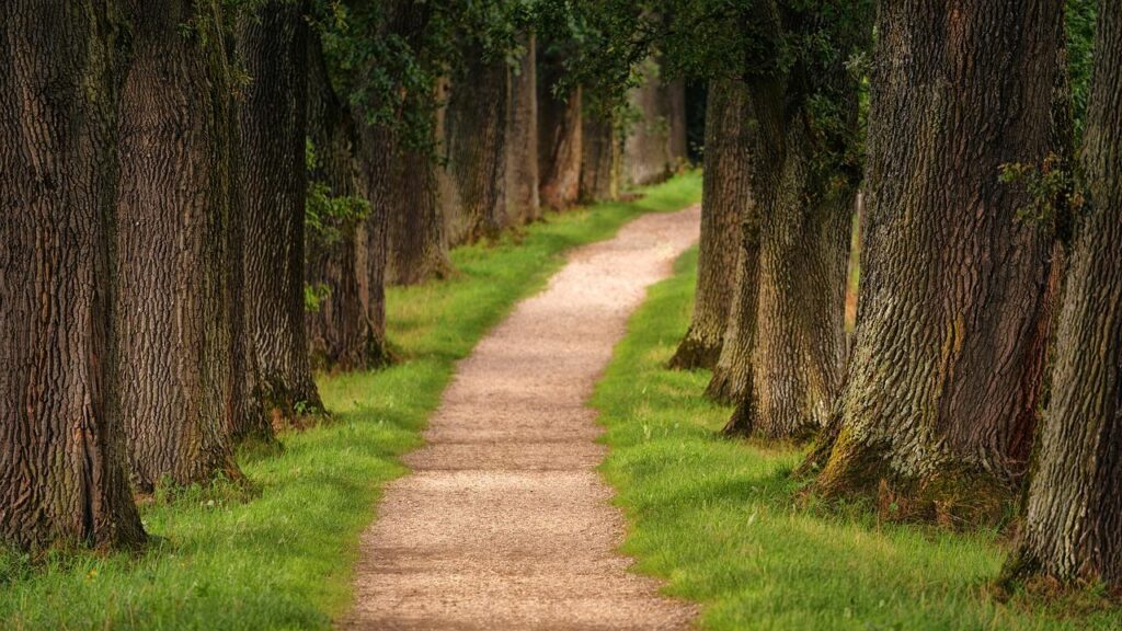 Schilderachtig landschap van wandelroutes Groningen met groene weilanden en historische dorpjes